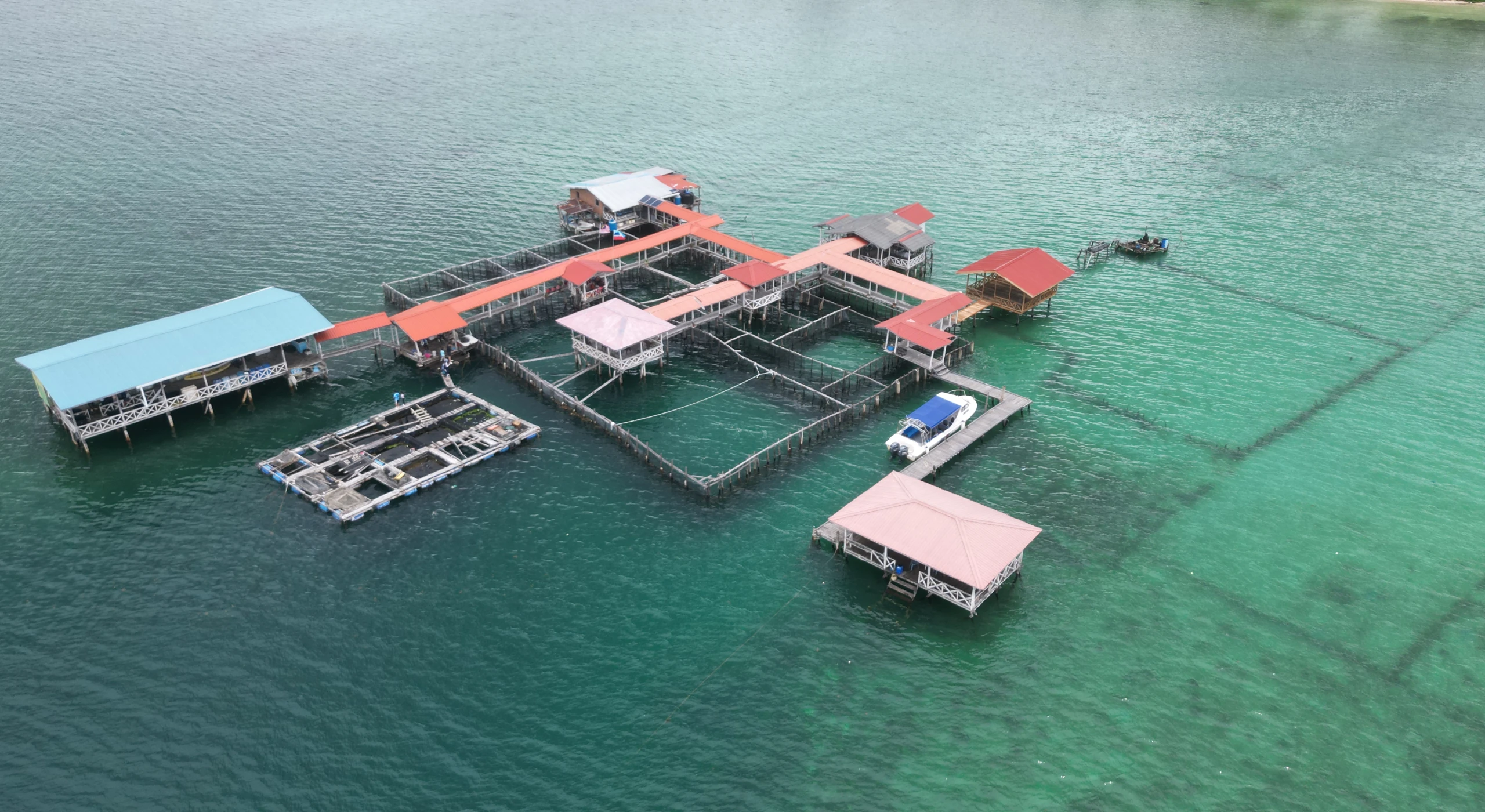 Island trip Fish Farm