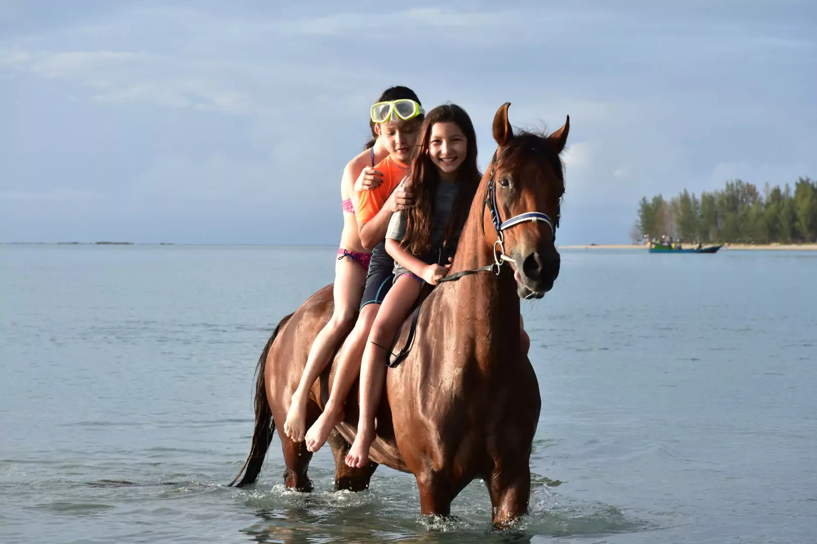 Eagle Bay Retrat Horse Back Riding