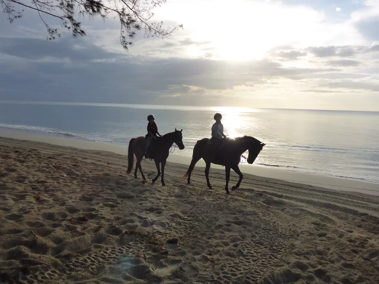 Eagle Bay Retreat Horse Riding Beach Horse Riding