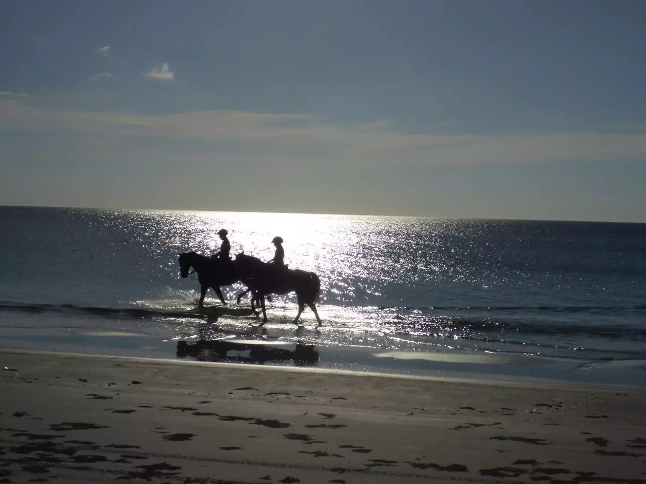 Eagle Bay Retreat Horse Riding Beach Horse Riding