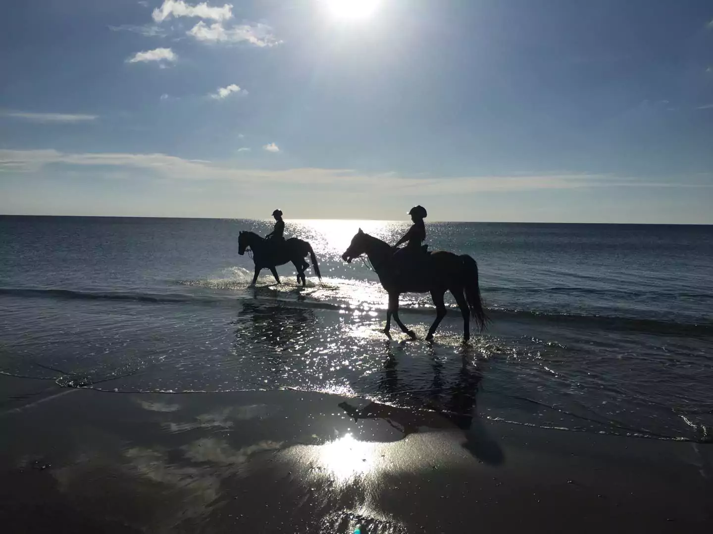 Eagle Bay Retreat Horse Riding Beach Horse Riding