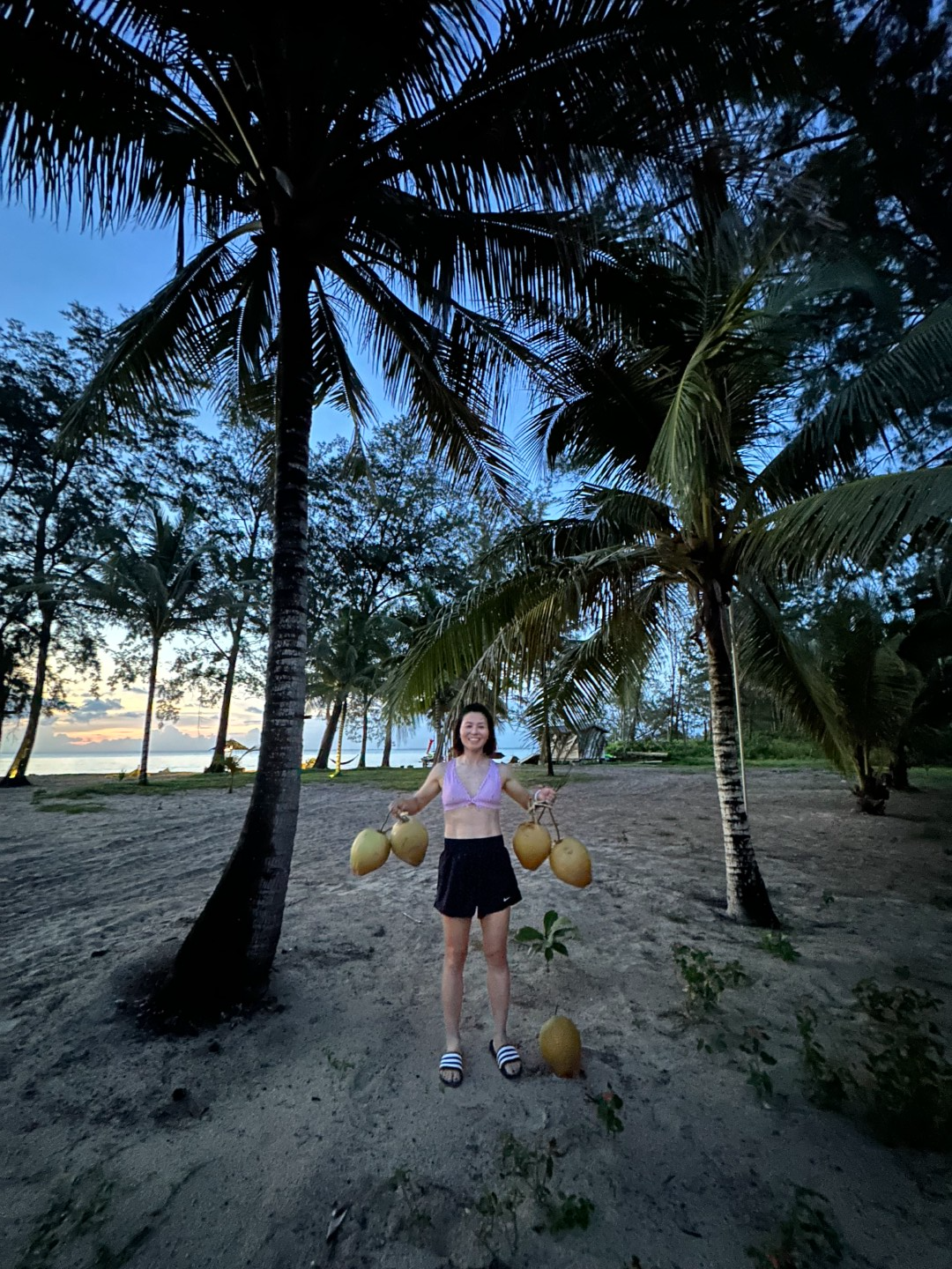 Eagle Bay Retreat Beach Activities Coconut Harvesting fresh